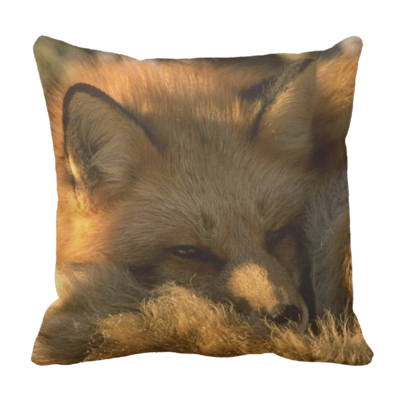 Poduszka Skandynawsk Lis pod-6162