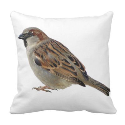 Poduszka Wróbel pod-6256