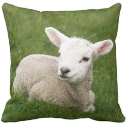 Poduszka dekoracyjna owieczka baranek góry 6753