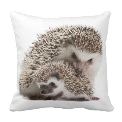 Poduszka Jeż pod-6263