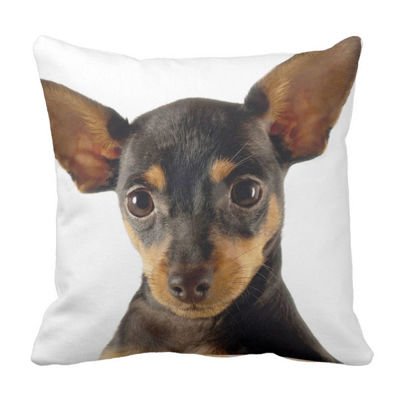 Poduszka ozdobna pies English Toy Terrier pod-6331