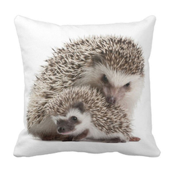 Poduszka Jeż pod-6263