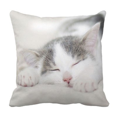 Poduszka KOT Novelty Cat Cushion pod-6185