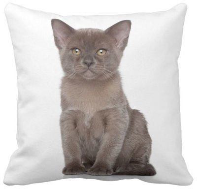 Poduszka dekoracyjna kot burmski burmański pod-6589