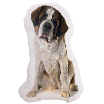 Poduszka pies bernardyn maskotka Beethoven betowen