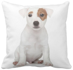 Poduszka dekoracyjna pies Jack Russell Terrier pod-6586